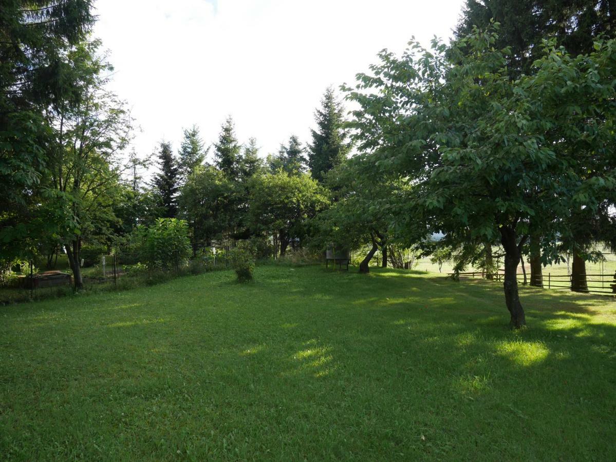 Sofia House Βίλα Abertamy Εξωτερικό φωτογραφία